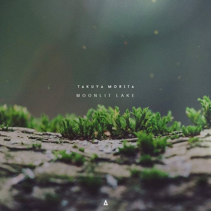 Takuya Morita - Moonlit Lake